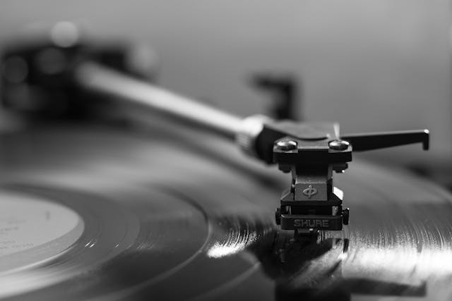 1713424500992167.jpg pexels-antonh-145707.jpg