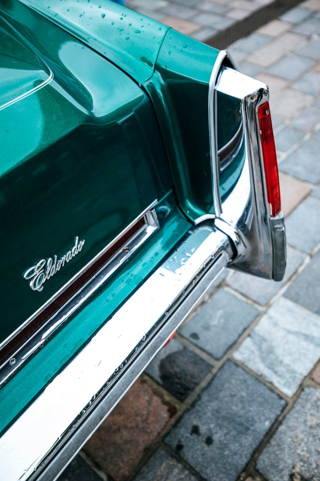 1723602911350936.jpg pexels-markusspiske-10390686.jpg