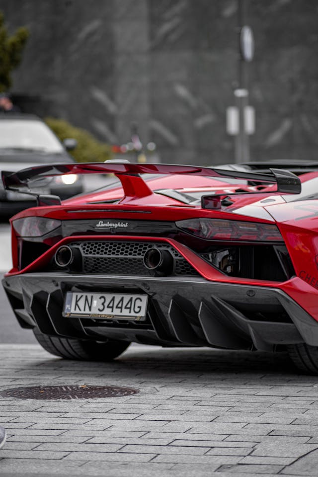 1723687171572434.jpg pexels-mateusz-3627236-12499826.jpg