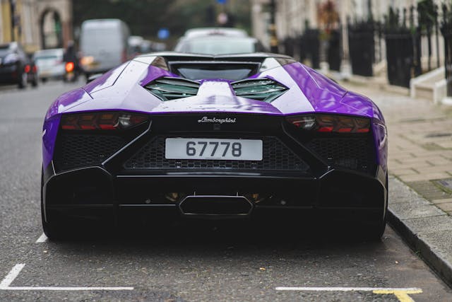1724060175994498.jpg pexels-szymon-shields-1503561-6152797.jpg